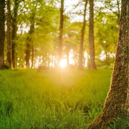 Nirvana Tiverton  Dış mekan fotoğraf