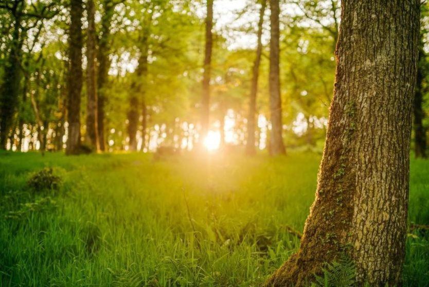 Nirvana Tiverton  Dış mekan fotoğraf