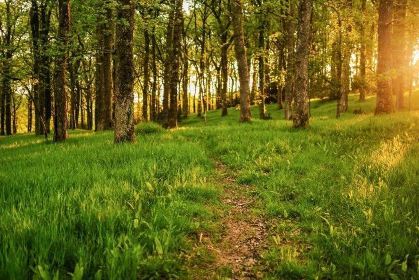 Nirvana Tiverton  Dış mekan fotoğraf